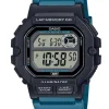 CASIO COLLECTION BASIC - WS-1400H-3AVEF