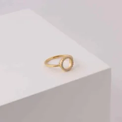 JOANLI NOR ANNANOR RING SØLV FORGYLDT 10 MM CIRKEL MED ZIRKONIA - 104503459